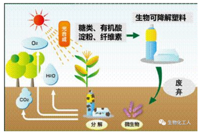 一篇文章看懂高分子材料可循環、可再生、可降解的區別