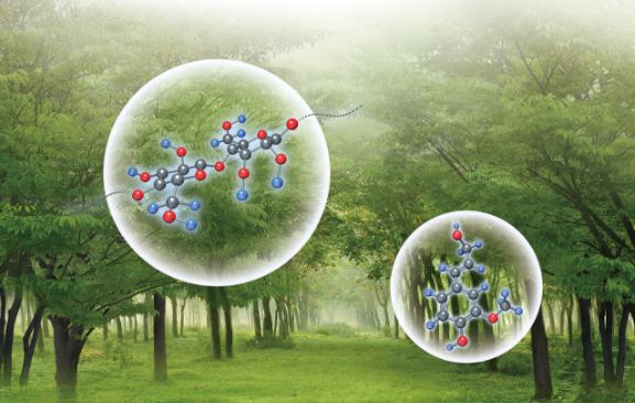 儲(chǔ)富祥生物基高分子新材料