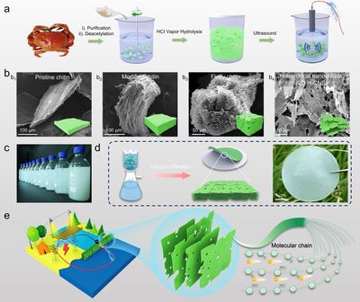 《Advanced Energy Materials》刊發我校葉冬冬教授團隊在生物質領域研究成果