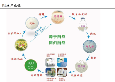 可降解塑料的王冠,生物基PLA打破國(guó)外壟斷,暢想百億市場(chǎng)