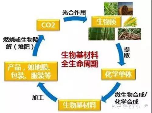 生物基材料:助力綠色環保的"未來之鑰" - 