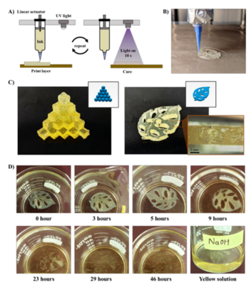 源于左旋葡萄糖的生物基和可降解硫醇-烯網絡,可用于可持續3D打印