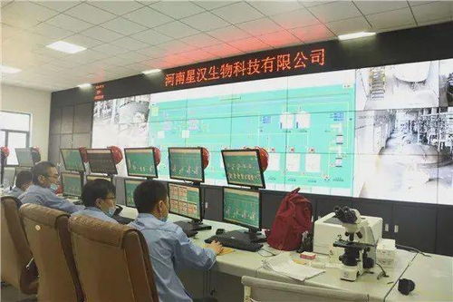 生物降解材料產值達到1億元,南樂打造國家級生物基材料產業集群