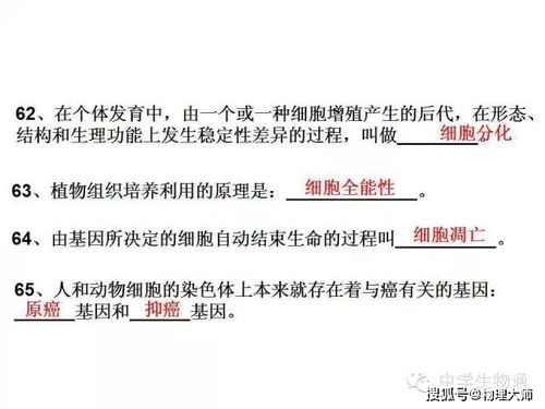 高中生物 復習資料,基礎知識一篇打盡