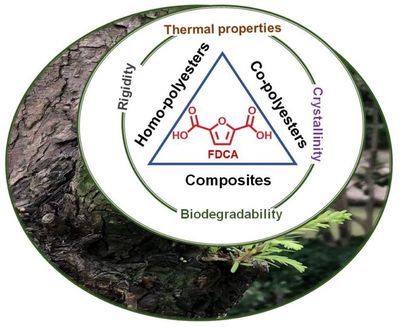 IF:5.0,連續5年增長!致力于聚合物科學發展--Polymers | MDPI 期刊推薦